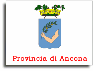 Centri assistenza Amana Ancona